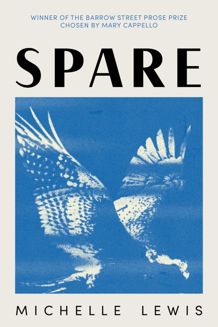 Lewis%20Cover(1).jpg