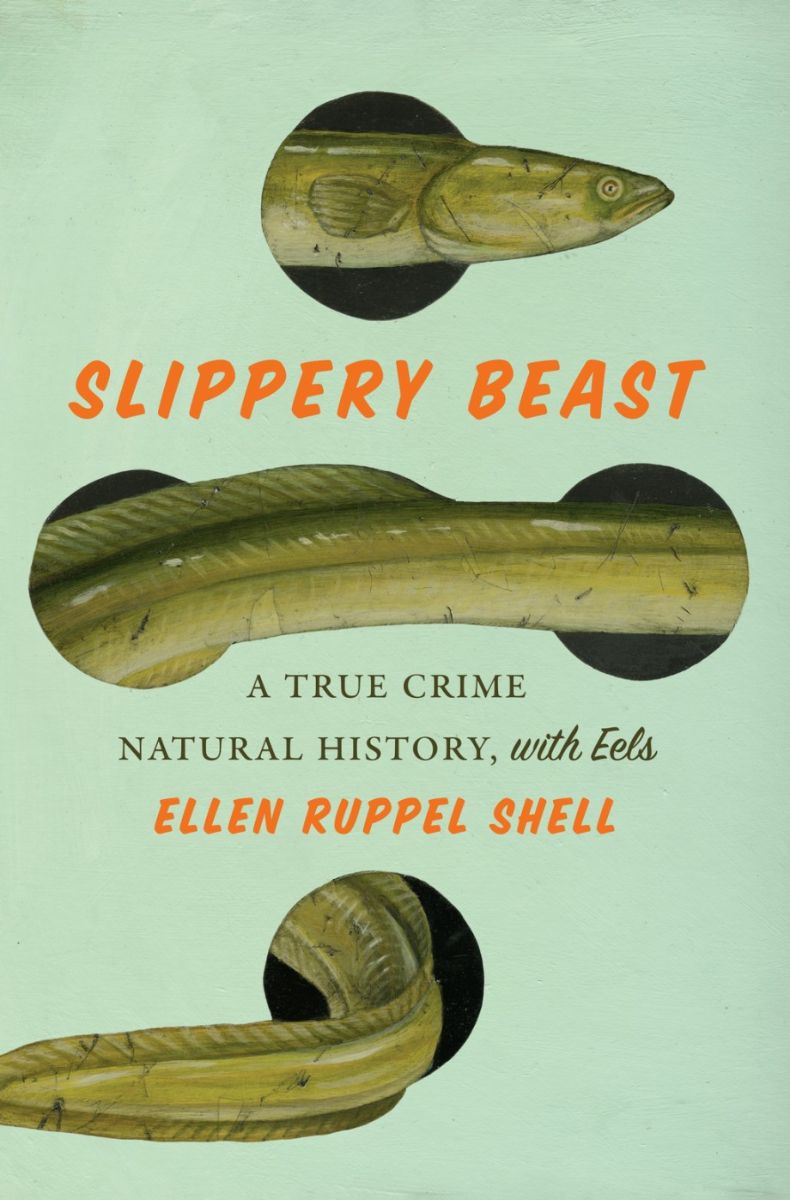 Ruppel%20Shell%20Cover.jpg