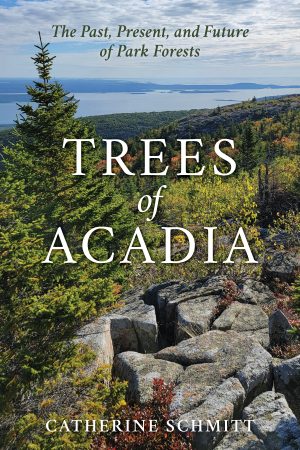 trees-of-acadia-e1780053841412.jpg